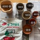 초록마을1단지(금성) | 초보 식집사의 과천화훼단지 첫방문 후기 (뚜벅이, 사업자 아님, 양재꽃시장 비교)