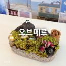 오브메르 | 의정부 원데이클래스 [오브메르]에서 이끼집 만들기 후기:)