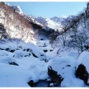 오토오아시스청주영운점 이미지