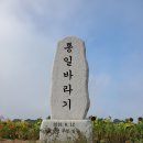 10월2일(토)10월의 정기도보 연천 호로고루성 해바라기와 재인폭포 후기 이미지