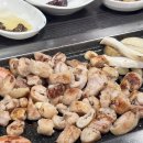 짱탁구장울산 - 동구 해수욕장길 8 | 짱탁구장울산
