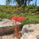 순천문학관 이미지