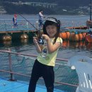 선창해상낚시터 이미지