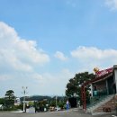 청아꽃집 - 고양시 일산동구 은마길 129 | 청아꽃집