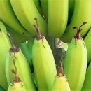 김예중농장 이미지