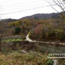 윤선애 | 포항 가시오가피 윤선애선인장 공장견학 후기