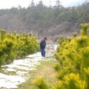 보광농원 이미지