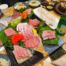 다원참치