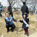 순천 나무숲 이미지