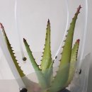 동남농장 네이버블로그