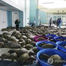 (주)푸른바다 이미지