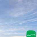 바이신산