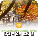 23년 10월 28일 해인사 소리길 가을단풍 이미지