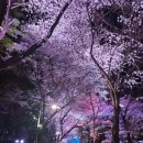 미호재 동인천점 네이버블로그