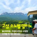 39당구장 | 설악 소노벨 델피노 이스트 스위트 아기랑 오션플레이, 조식까지! 내돈내산 할인팁!
