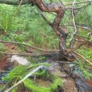 용복 농장 이미지