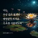 충의 이미지