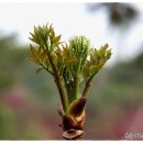 (주)순녹 이미지