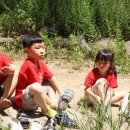 큰다우리발도르프 어린이집 햇살, 숲 여의도 샛강 생태 공원 나들이 이야기2.~(2024.06.21) 이미지