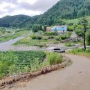 안기천로 이미지