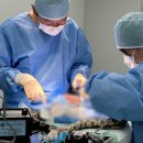 부천24시SKY동물메디컬센터 이미지