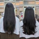 웰리스클리닉동물병원 | [서울/잠실] 삼전동 미용실 아윤채 모발클리닉 후기 &#34;에이바헤어 잠실삼전점&#34;