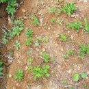 구석농장 이미지