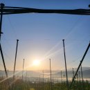 삼정농원 이미지