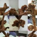 라벨르슈