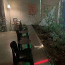 봉선초등학교 | [광주_남구] 심야카페 ‘봉선 하이파이 커피’ 크리스마스 추천 코스