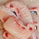 공릉2빗물펌프장 이미지