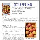 강가네농장 이미지