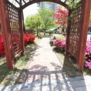 초록마을2단지(현진) 이미지