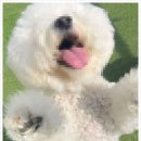 횡성리버뷰펜션 | 횡성독채펜션ㅣ편안하고 아늑한 인테리어가 인상 깊은 횡성리버뷰펜션 후기