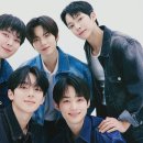 보플 이미지