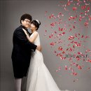 한송희 카카오 검색결과