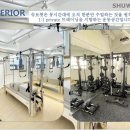 슈브핏 네이버블로그