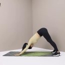 제이제이 카카오 검색결과