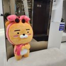 내포아산의원 이미지