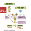 하트동물의료센터 이미지