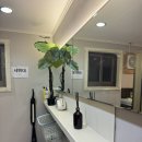 [할인](주3회)소도구 활용한 파워 다이어트 체형교정 필라테스 | 익산필라테스 영등동필라테스 : 어뉴필라테스 영등점