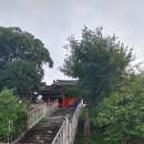 순천-48호 이미지