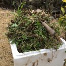 적당한 날 이미지