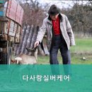 다사랑실버케어 네이버블로그