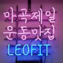 더 레오 핏 이미지