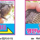 영인 낚시터 이미지