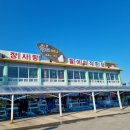활어회직판장 네이버블로그
