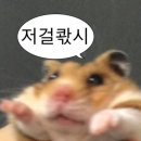 행정11 | 강성민 행정법 단권화 노트 현강 11일차 후기(feat.헤어질결심)