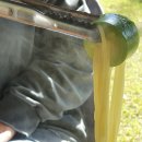 상우농장 이미지