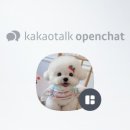 착한애견미용 이미지